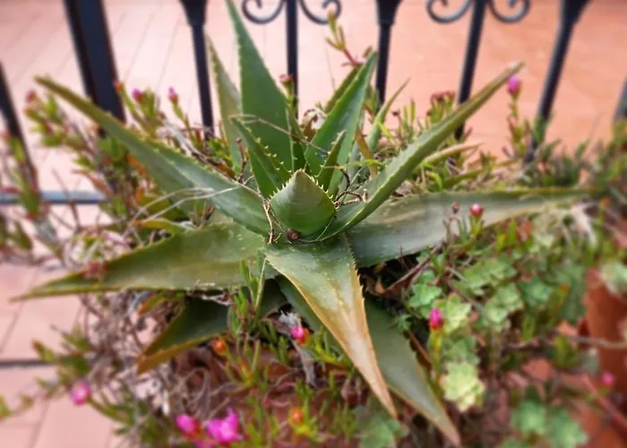 Hotel Eutimio Llastres