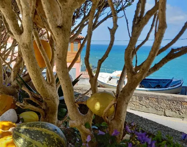 酒店 欧蒂米奥酒店 拉斯特雷斯