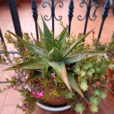 Hotel Eutimio Llastres